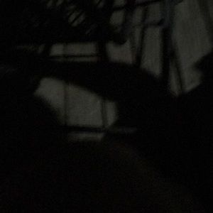 Meet your Posher, Ryann